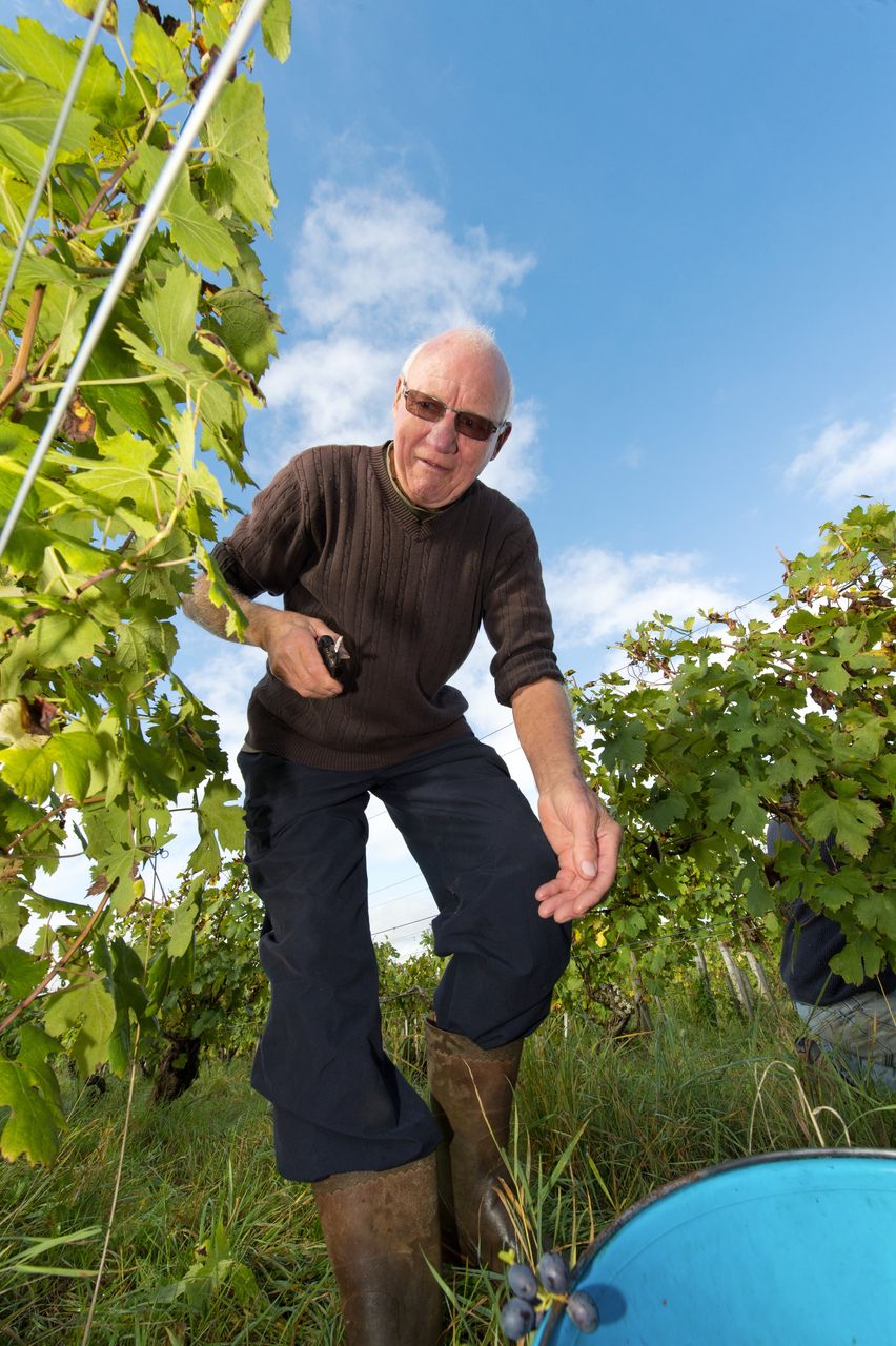 Vins Vigneron Pierre Overnoy 8483